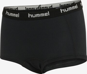 Hummel Performance Underwear 'Carolina' in Red