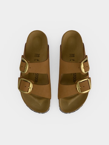 BIRKENSTOCK Mule ''Arizona Big Buckle' in Brown