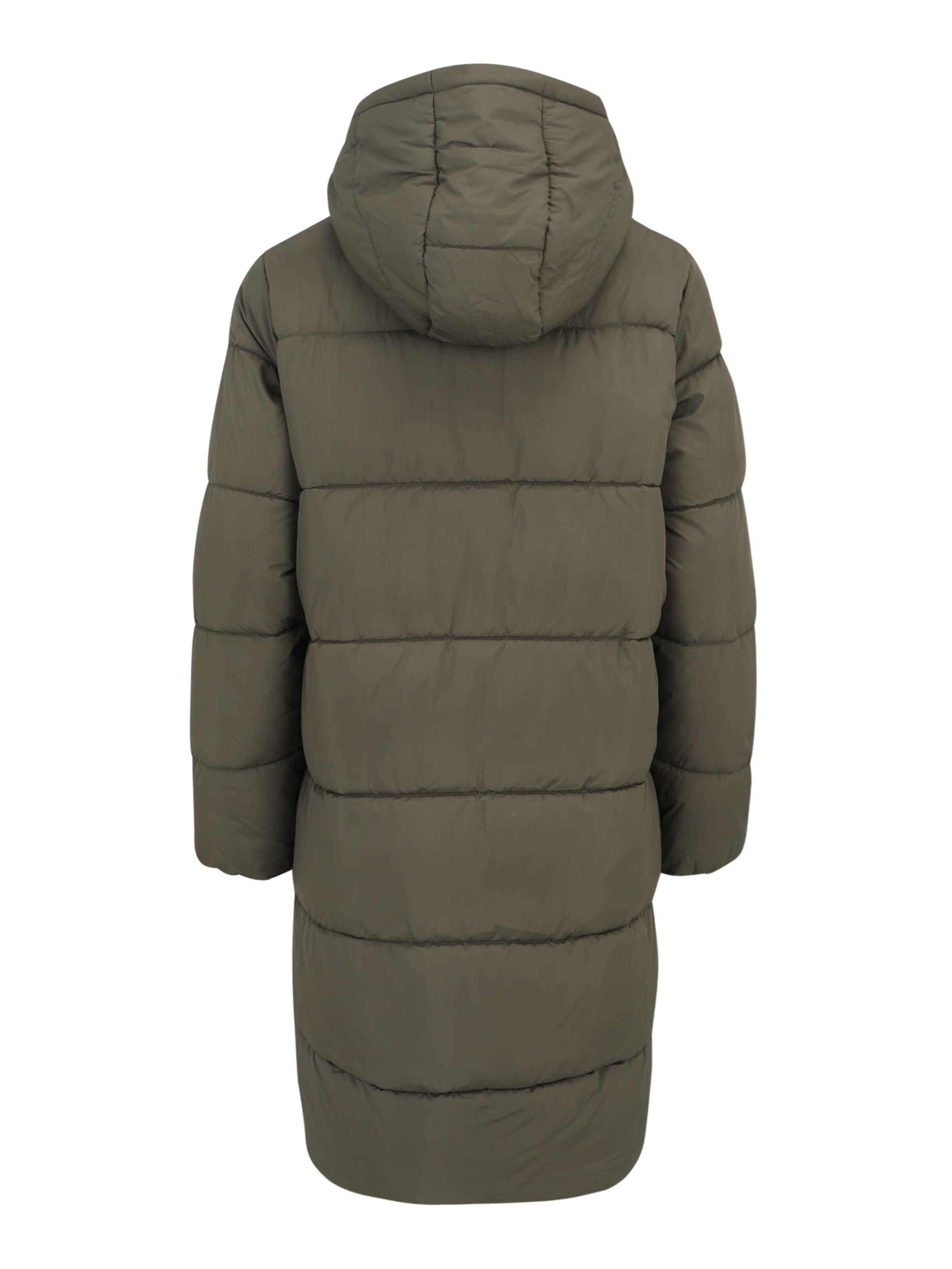 Veste mi-saison 'MLURSA' MAMALICIOUS en vert