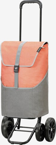 Andersen Shopper Cart 'Vigo' in Grey: front