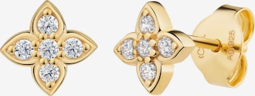caï Ohrringe in Gold: Vorderseite