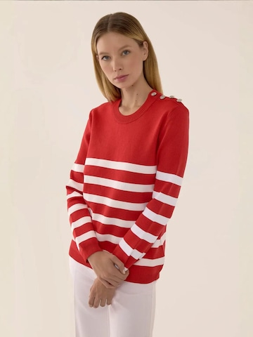 Hiccup - Pullover em vermelho: frente