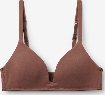 Tezenis Bra in Brown: front
