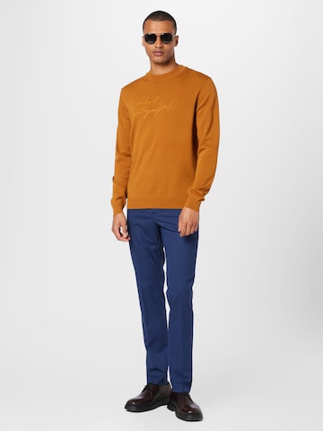 Karl Lagerfeld Sweater in Brown