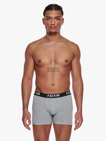 Adam Boxershorts '6er Pack'‌‌‌‌‌ in Grau: Vorderseite