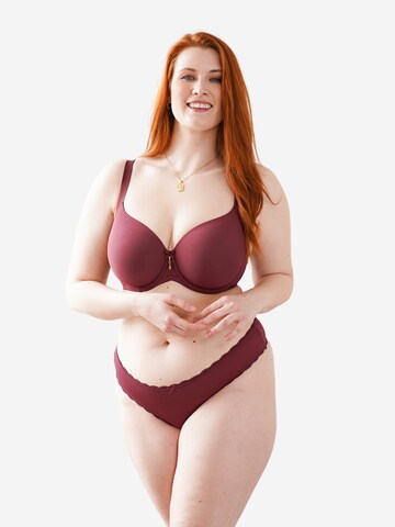 SugarShape String 'True' in Rot