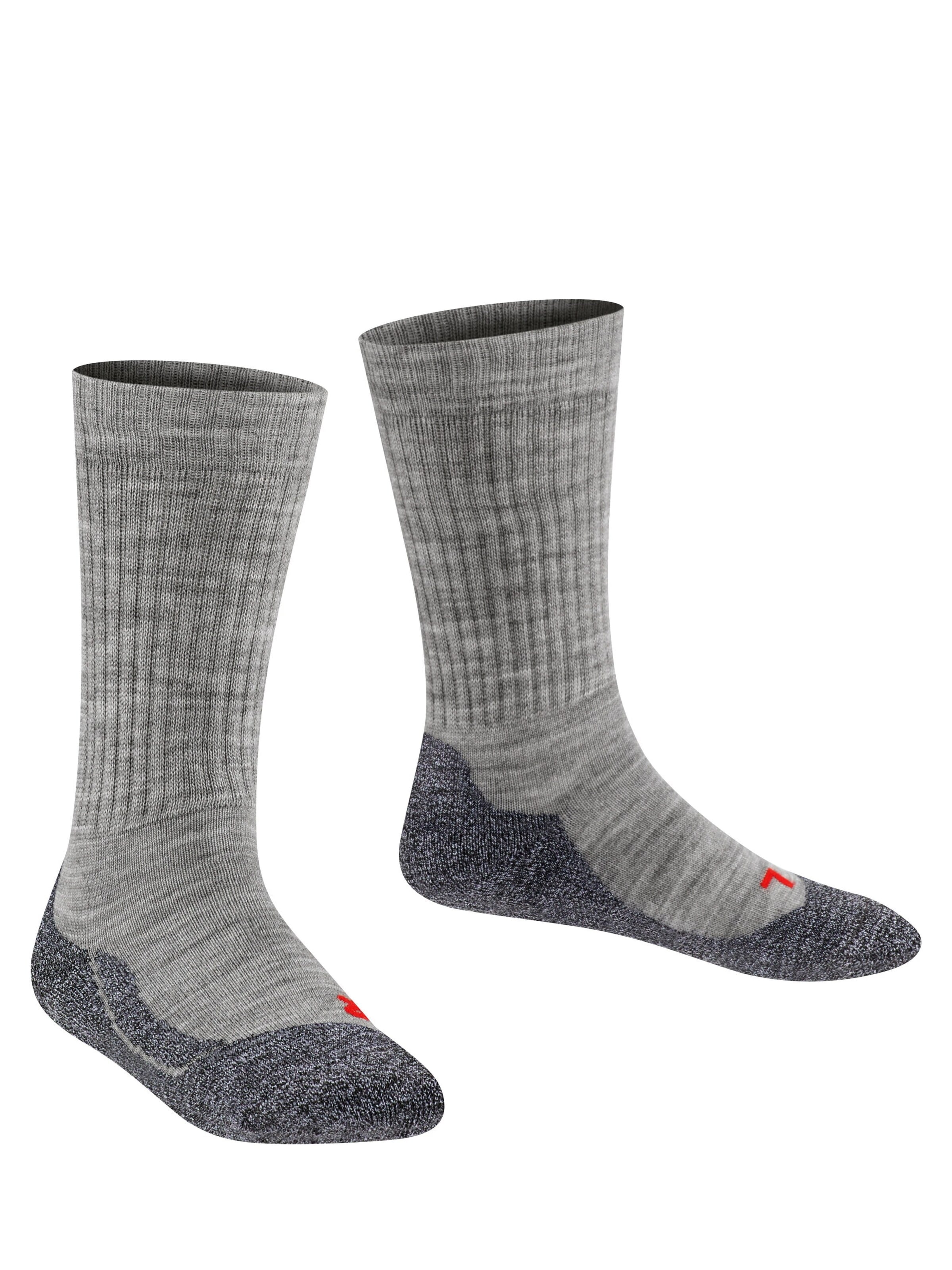 FALKE Socks 'Active Warm' in Grey