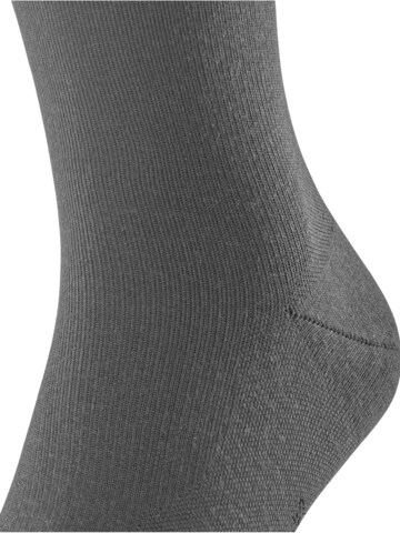 FALKE Socken 'Stabilizing Wool Everyday'‌ in Grau