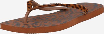 HAVAIANAS T-Bar Sandals in Brown: front