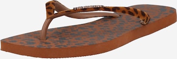 HAVAIANAS T-bar sandals in Brown: front