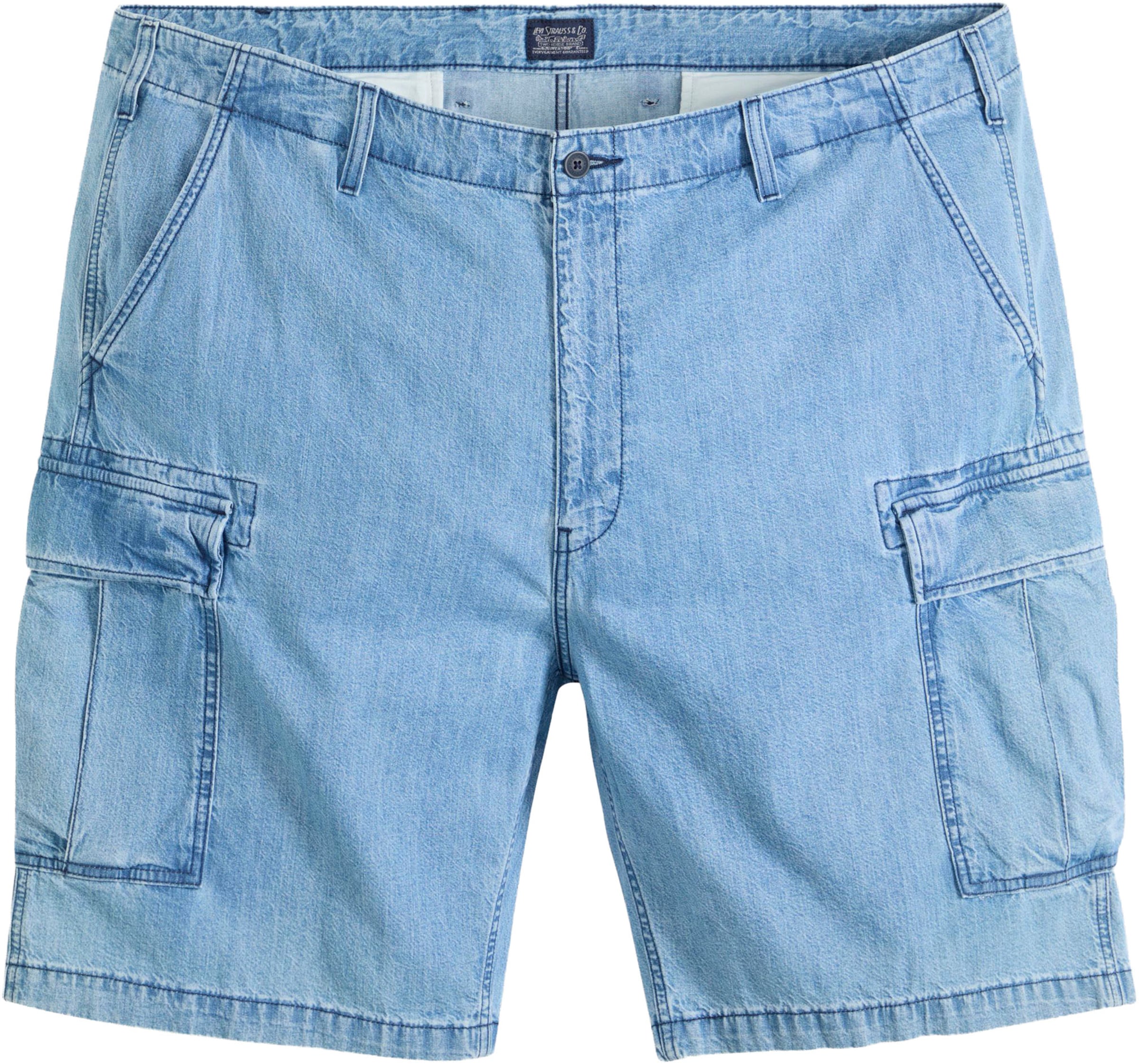 Levi's® Big & Tall Cargo Pants in Blue: front