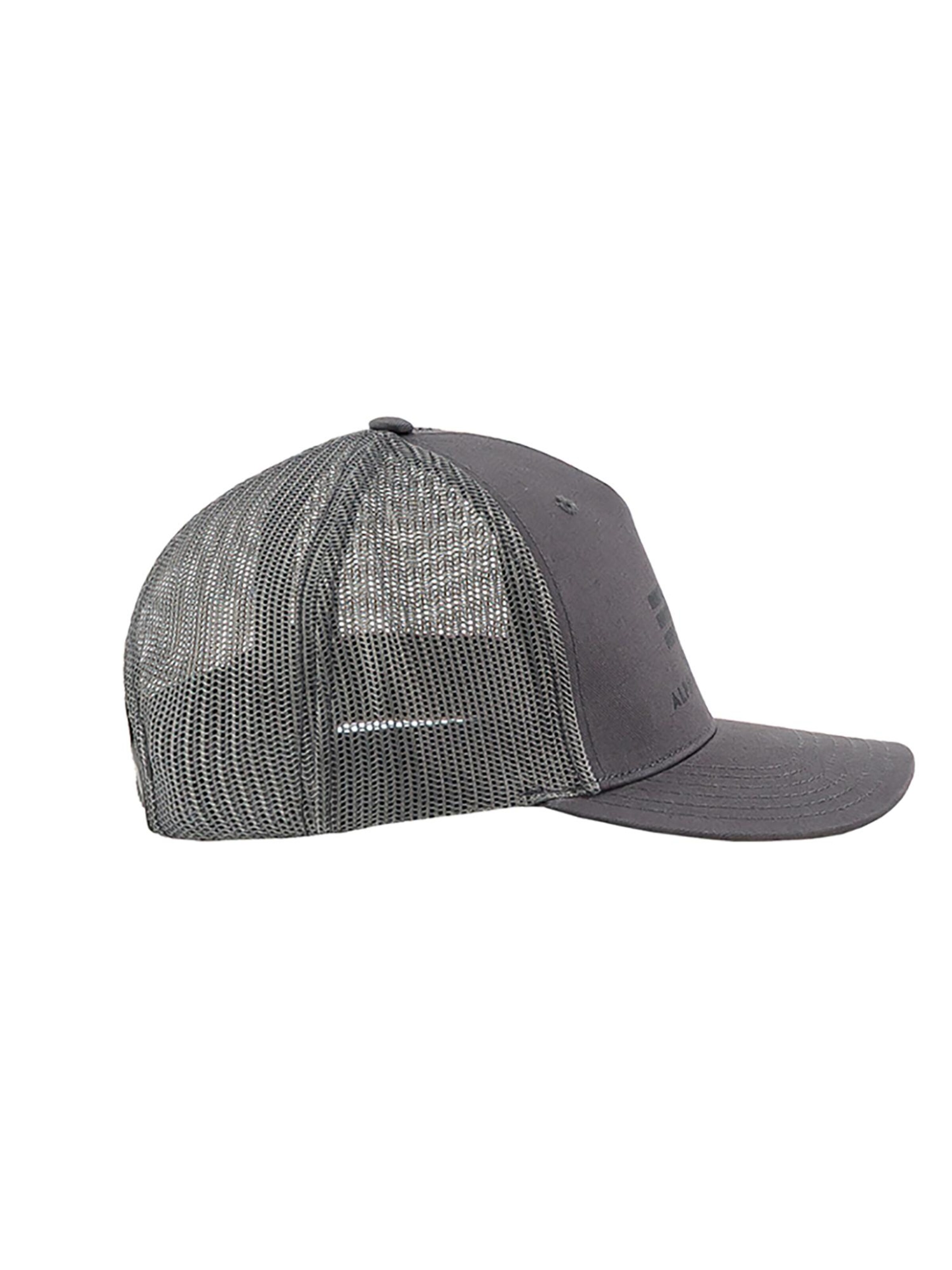 ALPHA INDUSTRIES Cap 'Basic'‌‌‌‌‌ in Grau