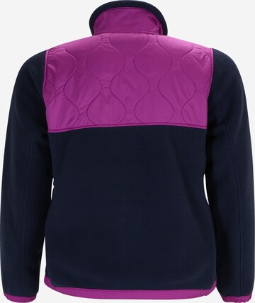 THE NORTH FACE Athletic Fleece Jacket 'ROYAL ARCH' in Blue