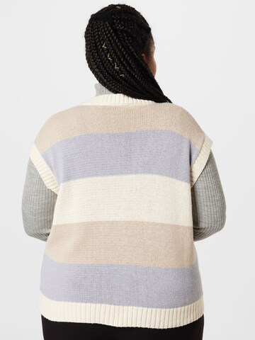 NU-IN Plus Sweater in Mixed colors