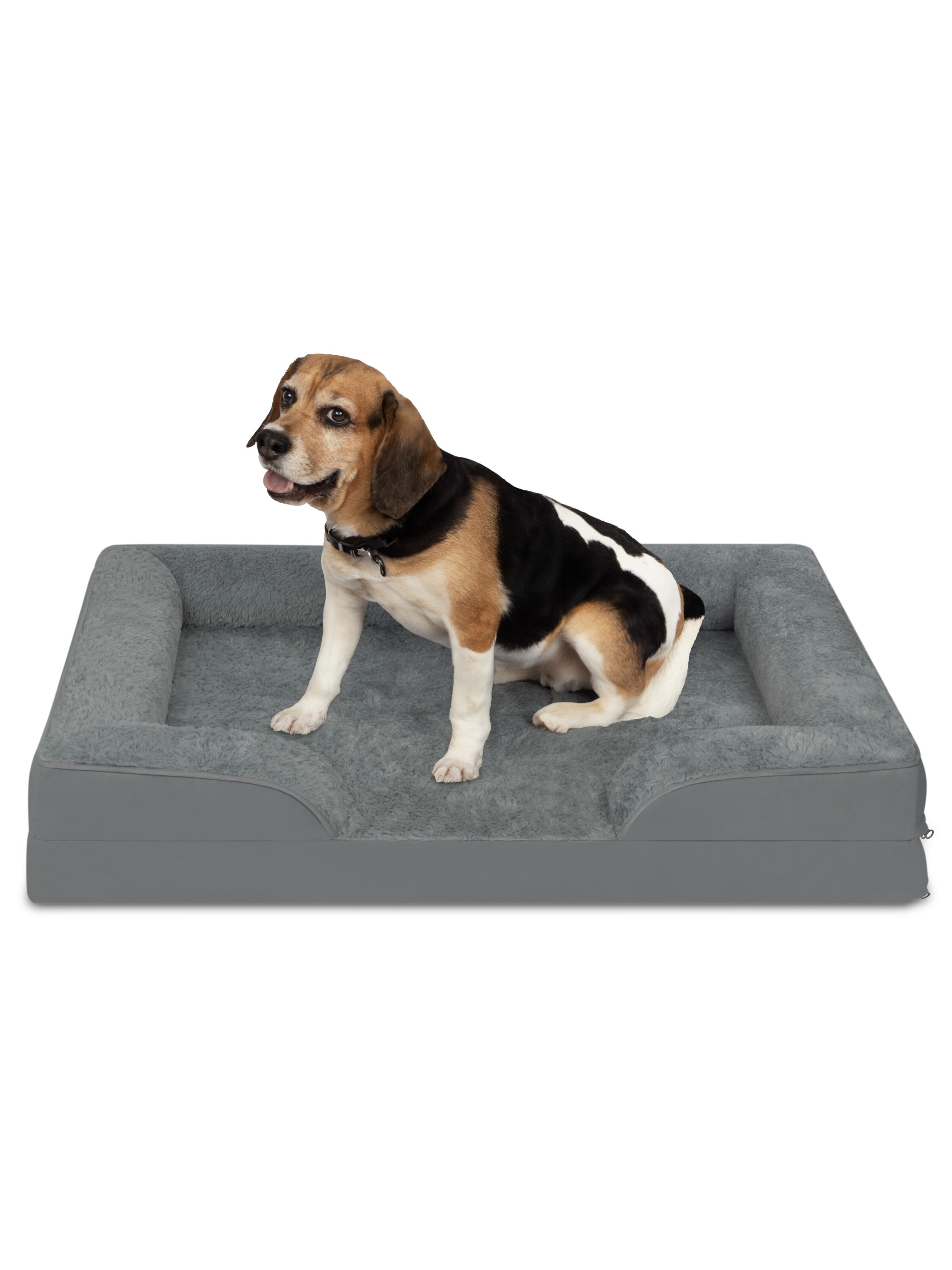 Aspero Pet accessories ' Kotka ' in Grey