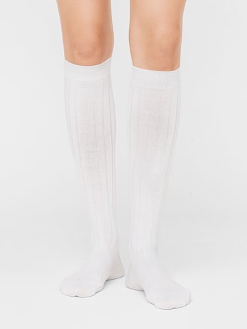 CALZEDONIA Kniestrümpfe in Weiß