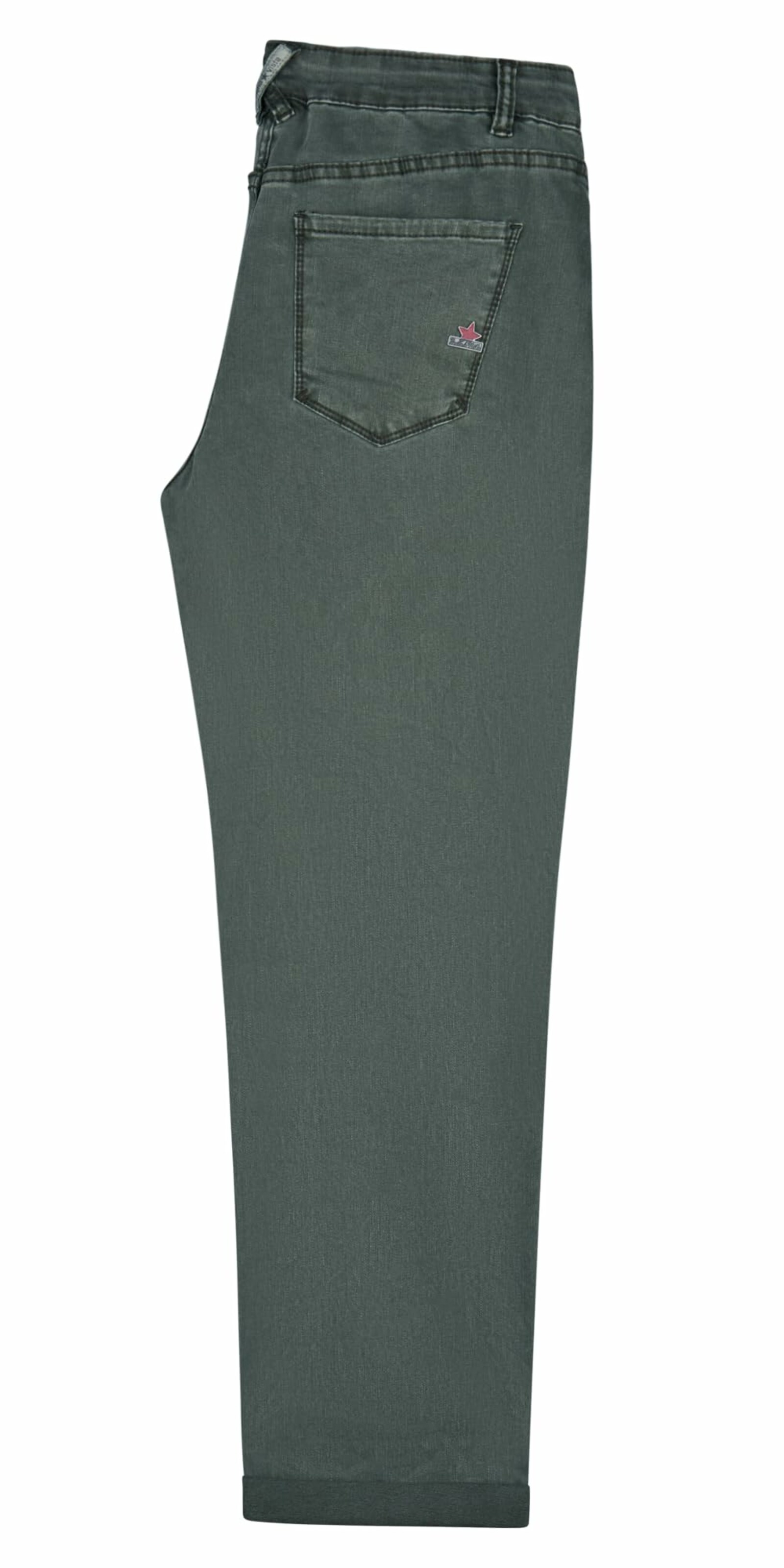 Buena Vista Regular Pants in Green