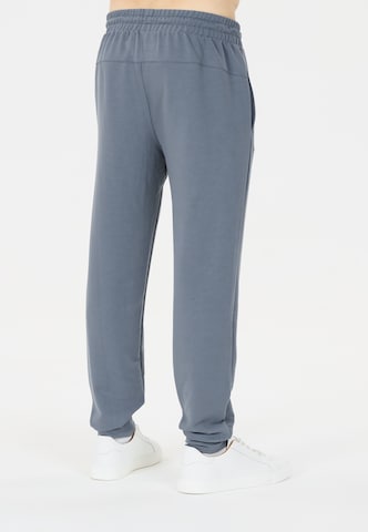Virtus Tapered Sportbroek 'Streat' in Grijs