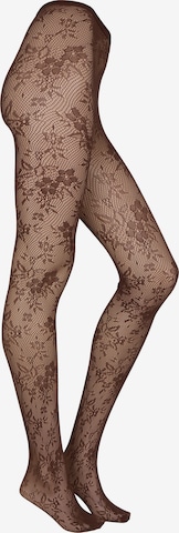 Collants Hunkemöller en marron : devant