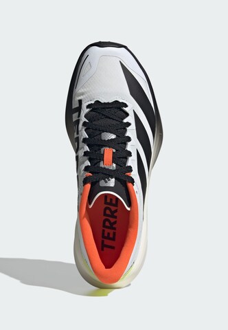 ADIDAS TERREX Lage schoen 'Agravic 4' in Wit