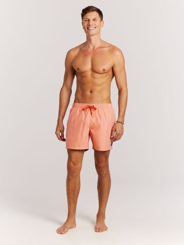 PROTEST Board Shorts 'PRTMarama' in Purple