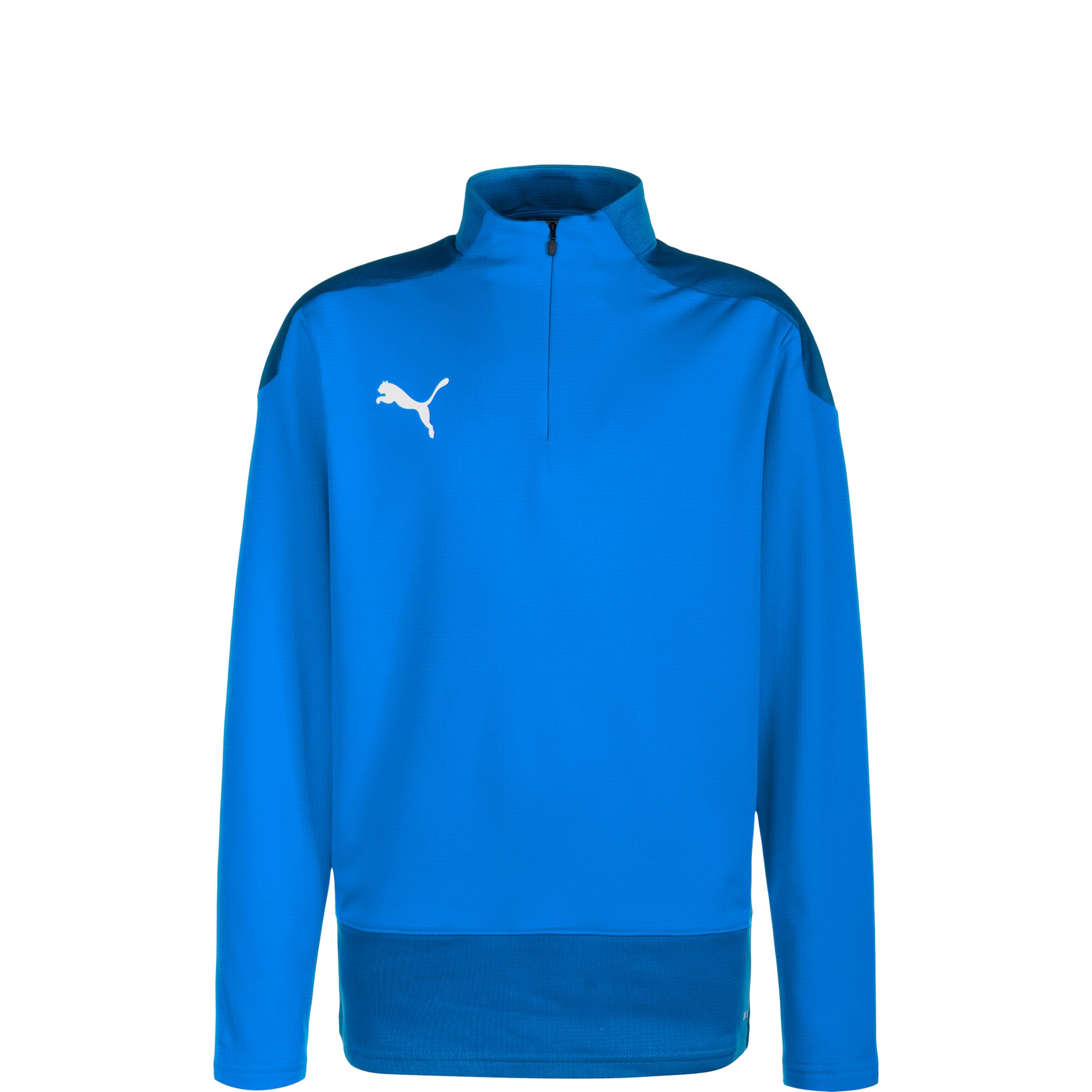 PUMA Bluza sportowa 'Team Goal 23' w kolorze niebieski: przód