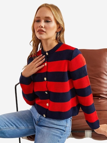 Bianco Lucci Gebreid vest in Rood