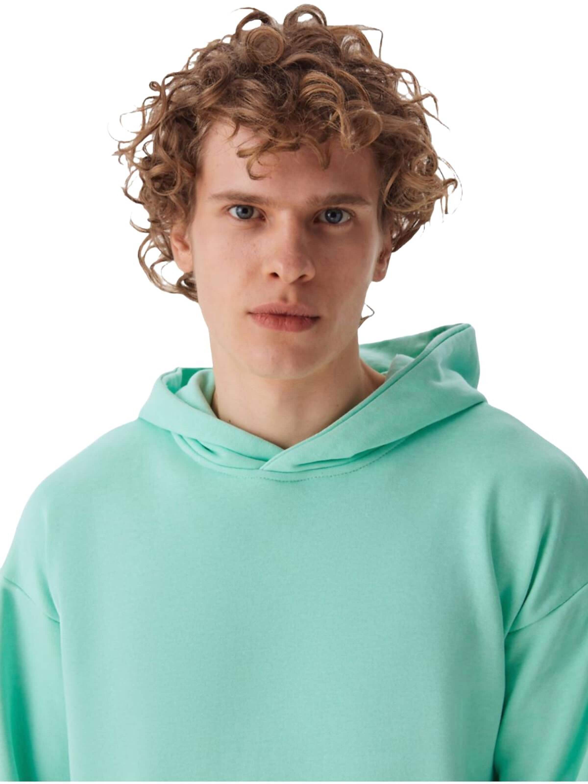 Sweat-shirt 'Sweatshirt' LTB Jeans en vert