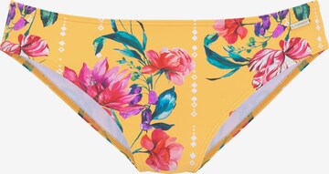 SUNSEEKER Bikini bottom in Yellow: front