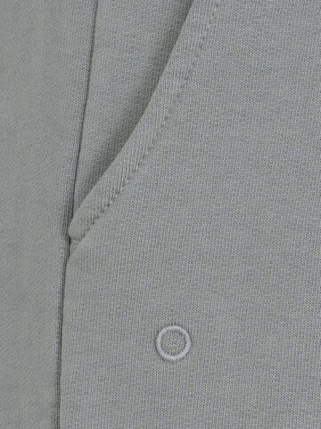 ENRAGE Loosefit Bundfaltenhose 'ENRAGE' in Grau