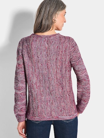 Goldner Pullover in Pink
