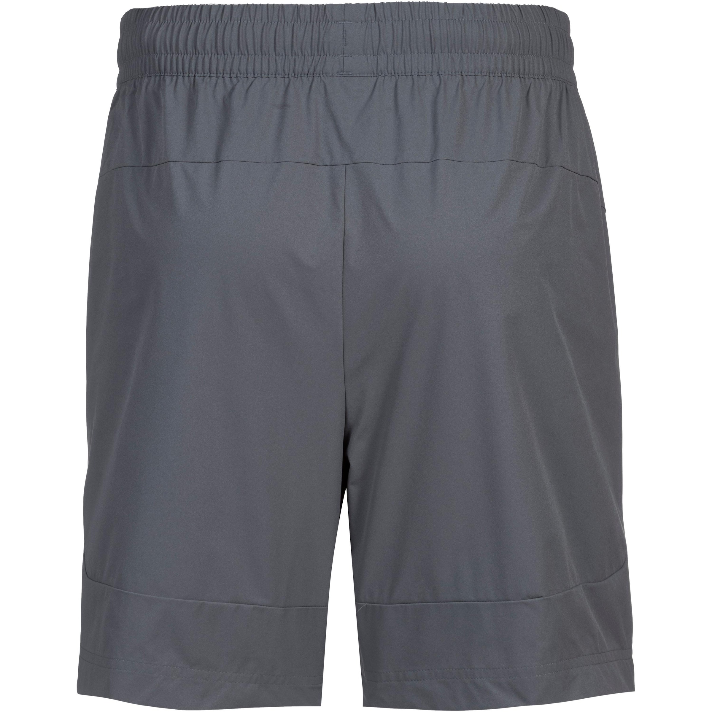 PUMA Regularen Športne hlače 'Borussia Dortmund' | siva barva