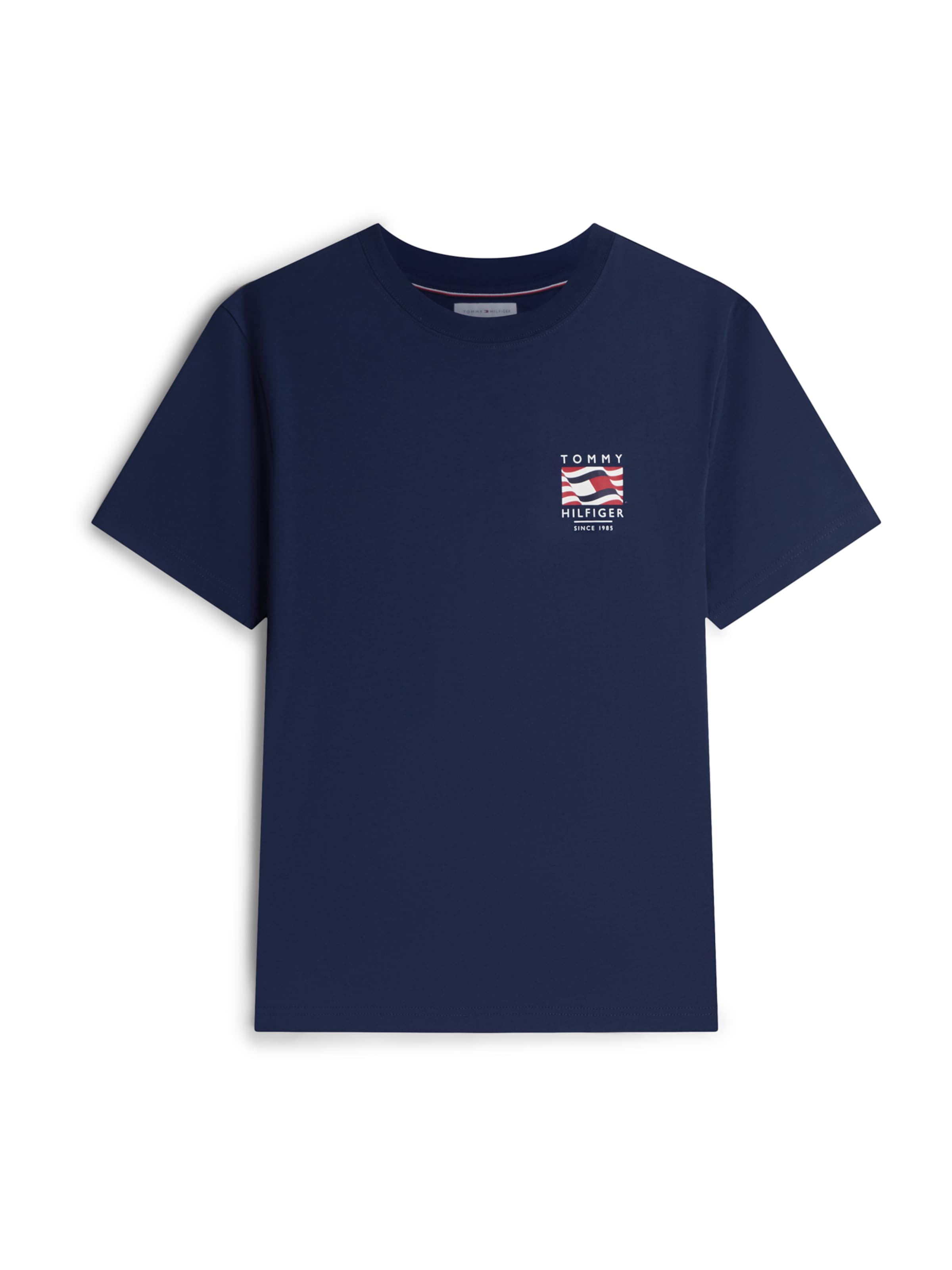 TOMMY HILFIGER Shirt in Blue: front