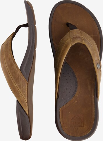 REEF Classic Flats 'Pacific Le' in Brown