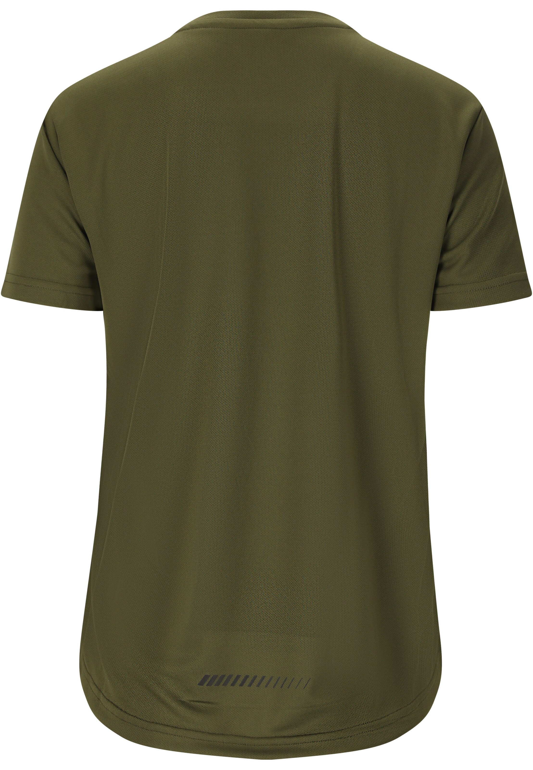 ENDURANCE Performance shirt 'Team V2' in Green
