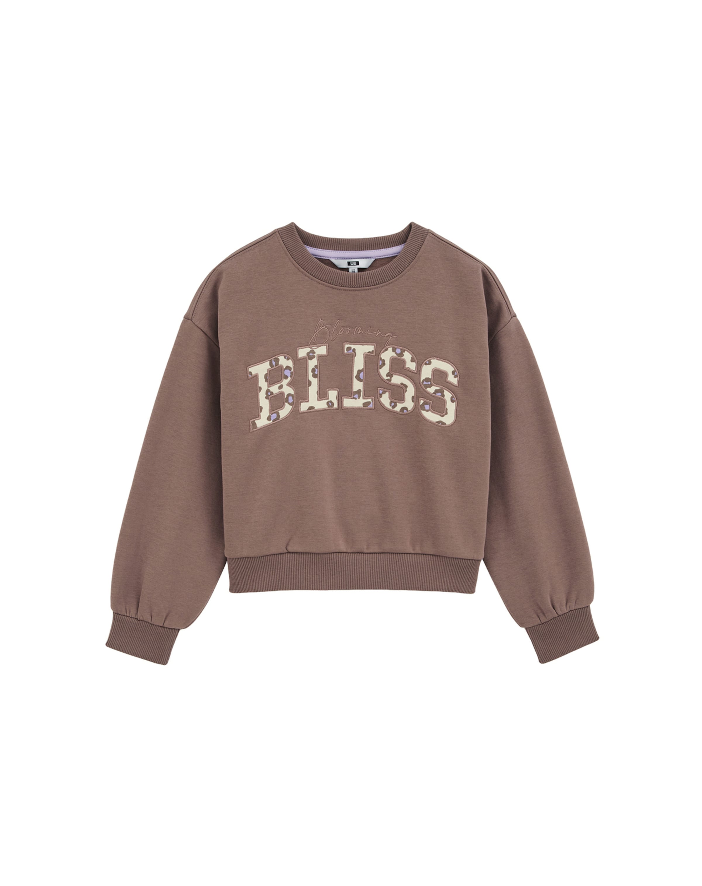 WE Fashion Суичър в кафяво: отпред