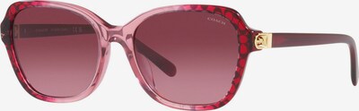 COACH Lunettes de soleil en rose / rouge rubis, Vue avec produit