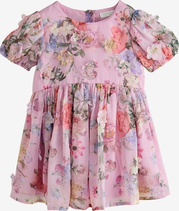 purpurinė Next Suknelė: priekis