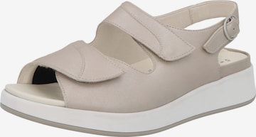 SOLIDUS Sandale 'Hannah' in Beige: Vorderseite
