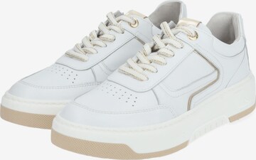 Nero Giardini Sneakers in White