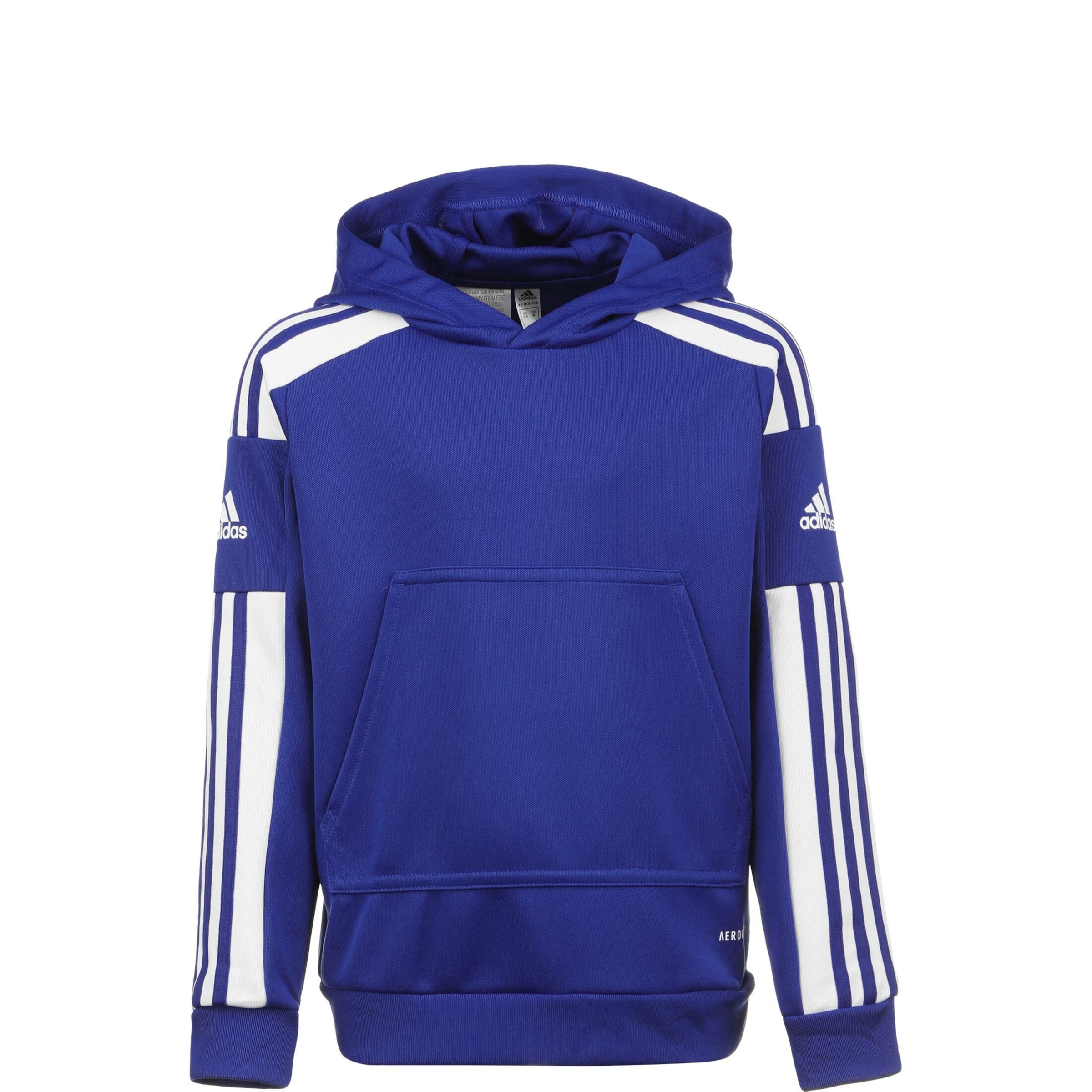 ADIDAS PERFORMANCE Sportsweatshirt 'Squadra 21' in Blau: Vorderseite