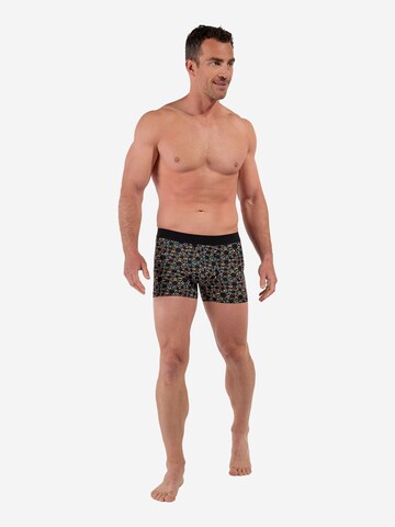 Boxers ' Boxer Briefs Red Rock ' HOM en mélange de couleurs
