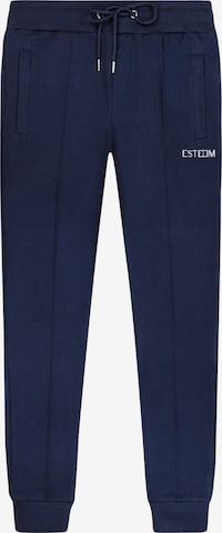 ESTEEM Broek in Blauw: voorkant