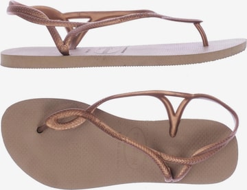 HAVAIANAS Sandals & High-Heeled Sandals in 40,5 in Brown: front
