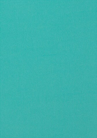 Elbsand Bikinihose in Grün