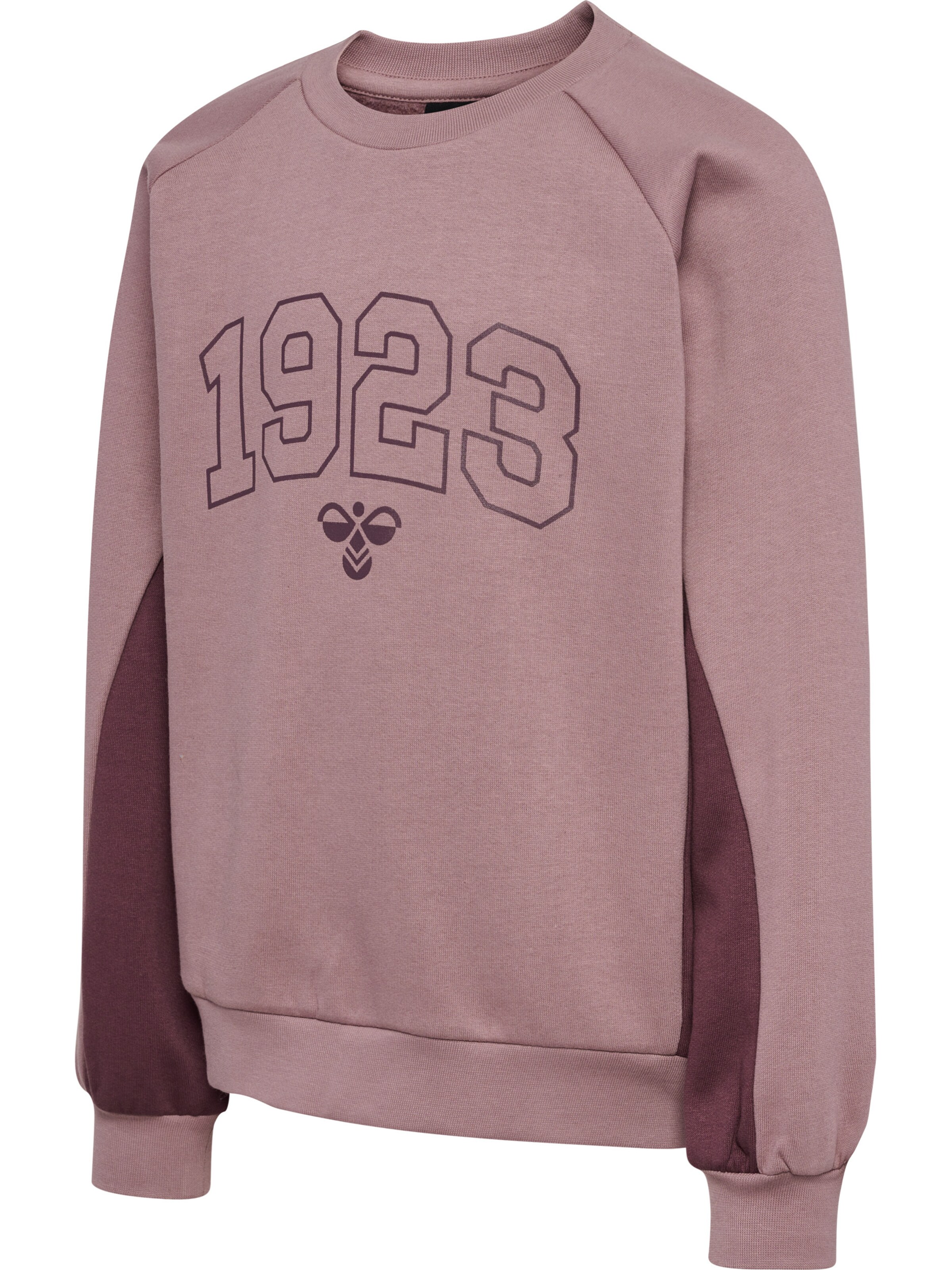 Hummel Sweatshirt 'Kanna' in Lila