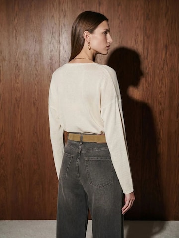 Pullover 'Pullover' di Dilvin in beige