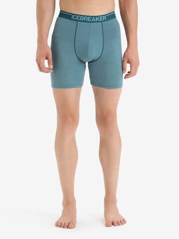 ICEBREAKER Sports underpants 'Anatomica' in Green: front