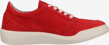 Softinos Sneakers laag in Rood