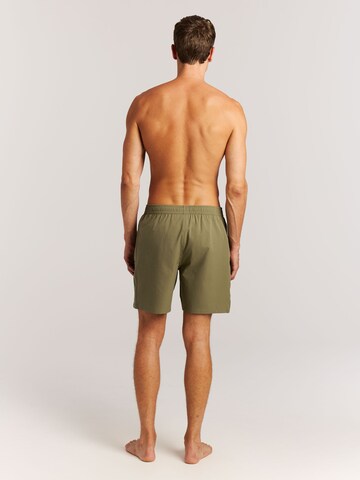 PROTEST Board Shorts 'PRTBaky' in Green